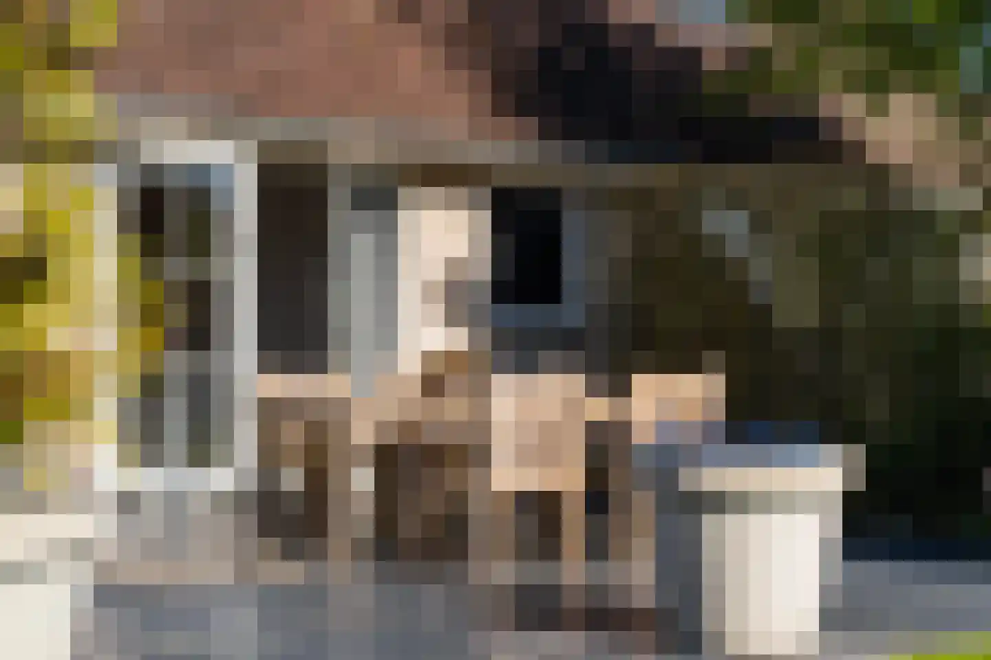 Koaidyk 6 265 Earnewâld thumbnail 44