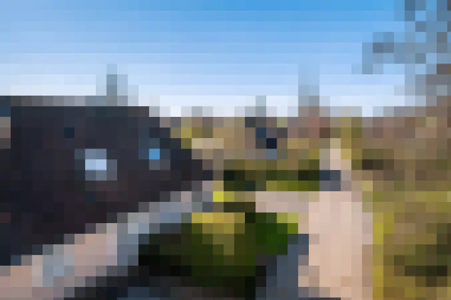 Koaidyk 6 265 Earnewâld thumbnail 7