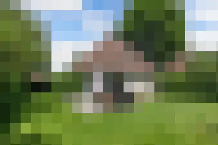 Koaidyk 6 271 Earnewâld thumbnail 10