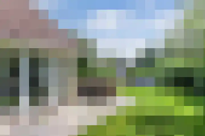 Koaidyk 6 271 Earnewâld thumbnail 11