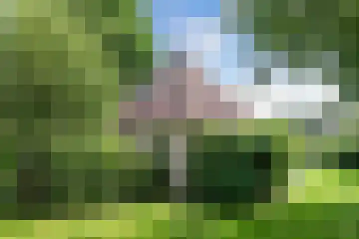 Koaidyk 6 271 Earnewâld thumbnail 12