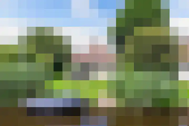 Koaidyk 6 271 Earnewâld thumbnail 13