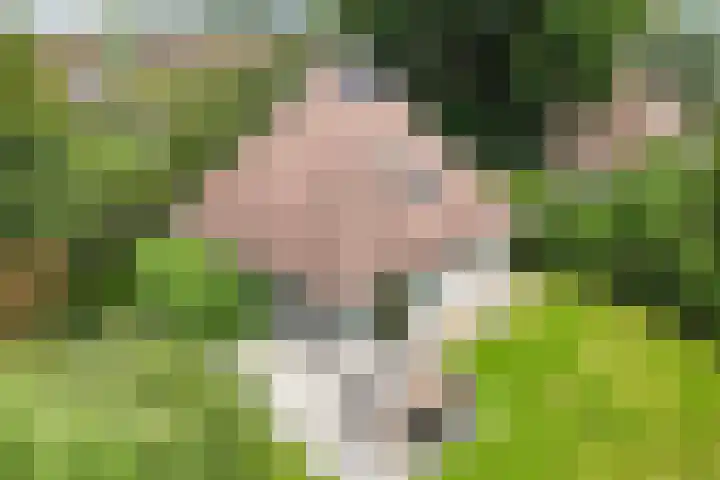 Koaidyk 6 271 Earnewâld thumbnail 14