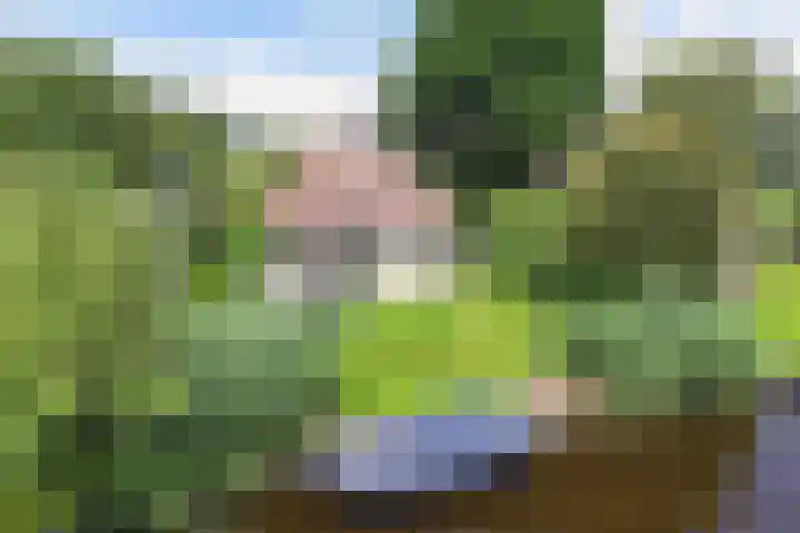 Koaidyk 6 271 Earnewâld thumbnail 15