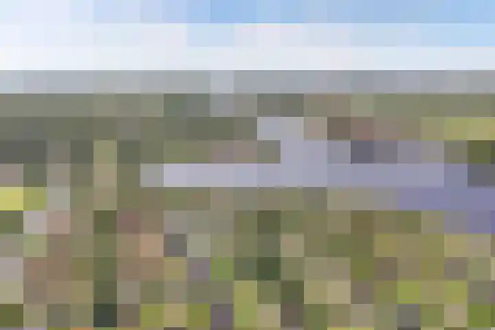 Koaidyk 6 271 Earnewâld thumbnail 16