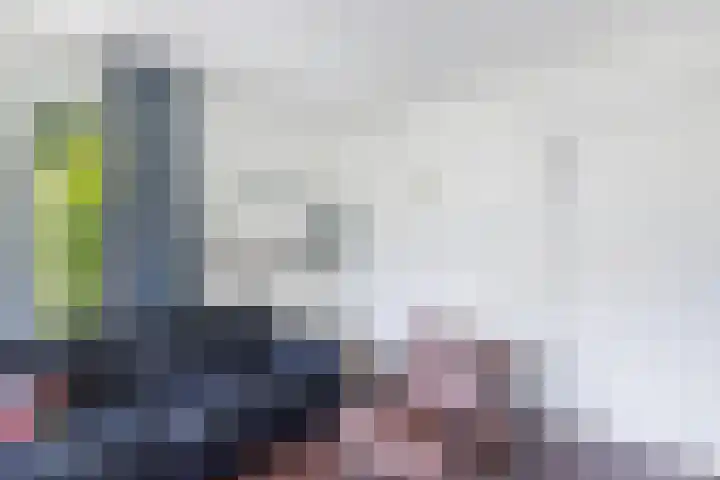 Koaidyk 6 271 Earnewâld thumbnail 22