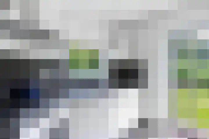 Koaidyk 6 271 Earnewâld thumbnail 28