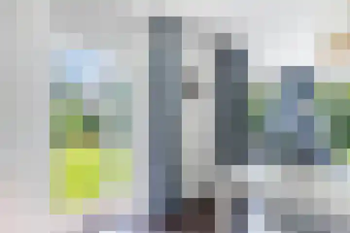 Koaidyk 6 271 Earnewâld thumbnail 29