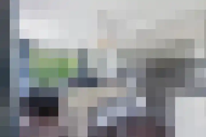 Koaidyk 6 271 Earnewâld thumbnail 30