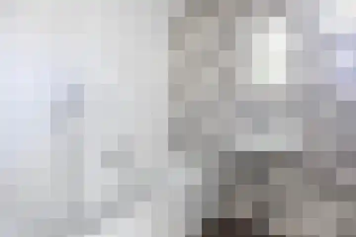 Koaidyk 6 271 Earnewâld thumbnail 31