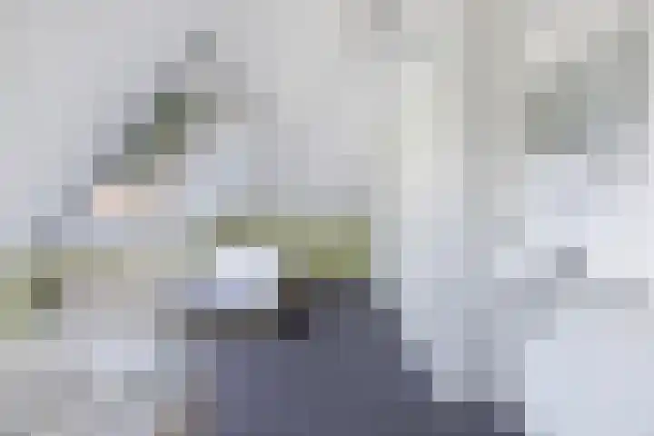 Koaidyk 6 271 Earnewâld thumbnail 33