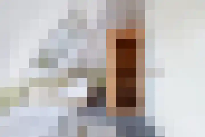 Koaidyk 6 271 Earnewâld thumbnail 34