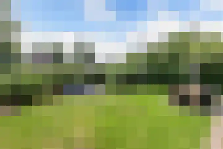 Koaidyk 6 271 Earnewâld thumbnail 5