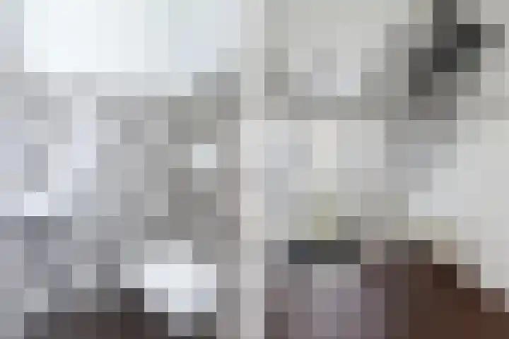 Koaidyk 6 271 Earnewâld thumbnail 6