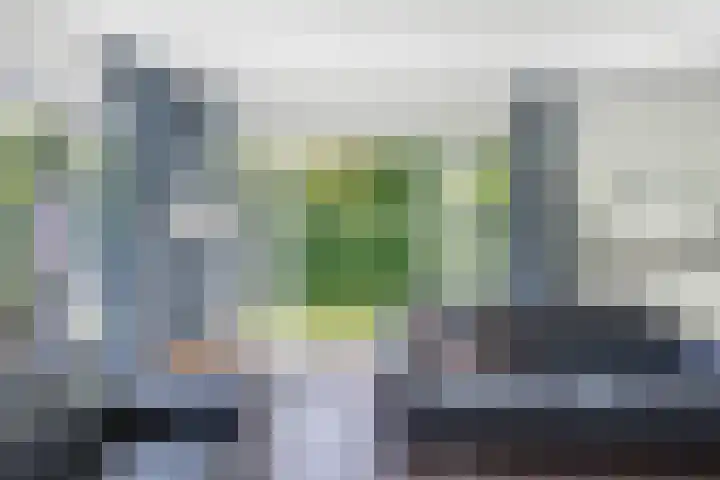 Koaidyk 6 271 Earnewâld thumbnail 7