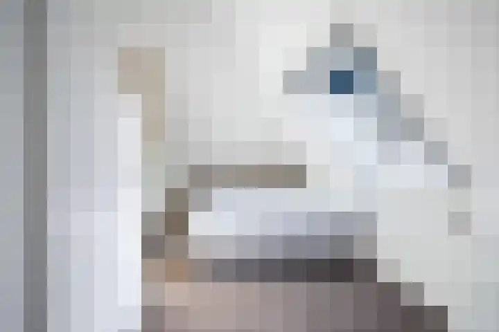 Koaidyk 6 408 Earnewâld thumbnail 19