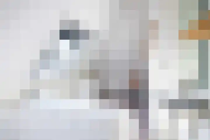 Koaidyk 6 408 Earnewâld thumbnail 20