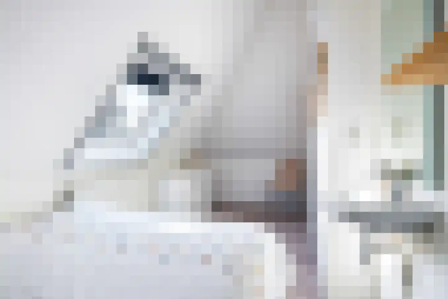 Koaidyk 6 408 Earnewâld thumbnail 20