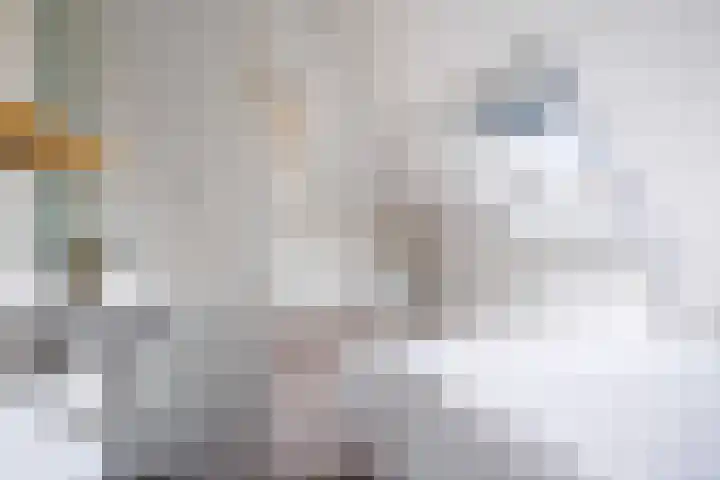 Koaidyk 6 408 Earnewâld thumbnail 23
