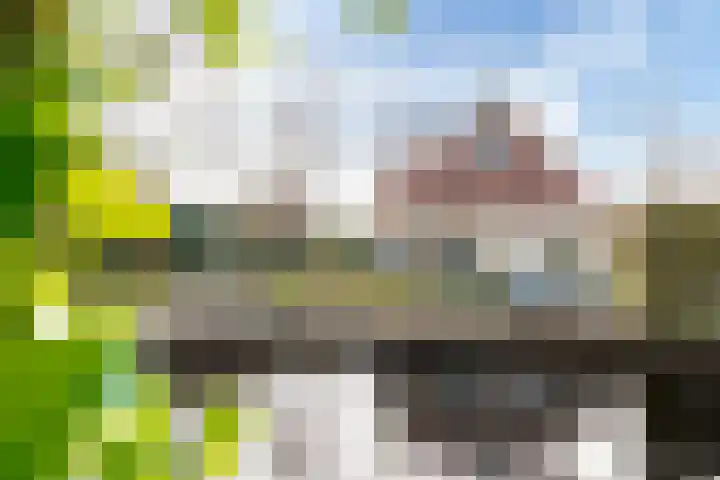 Koaidyk 6 408 Earnewâld thumbnail 25