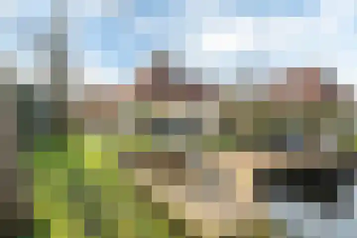 Koaidyk 6 408 Earnewâld thumbnail 26