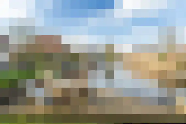 Koaidyk 6 408 Earnewâld thumbnail 27
