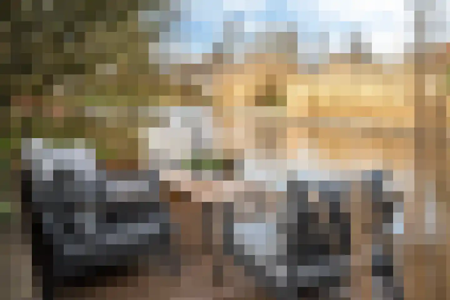 Koaidyk 6 408 Earnewâld thumbnail 28