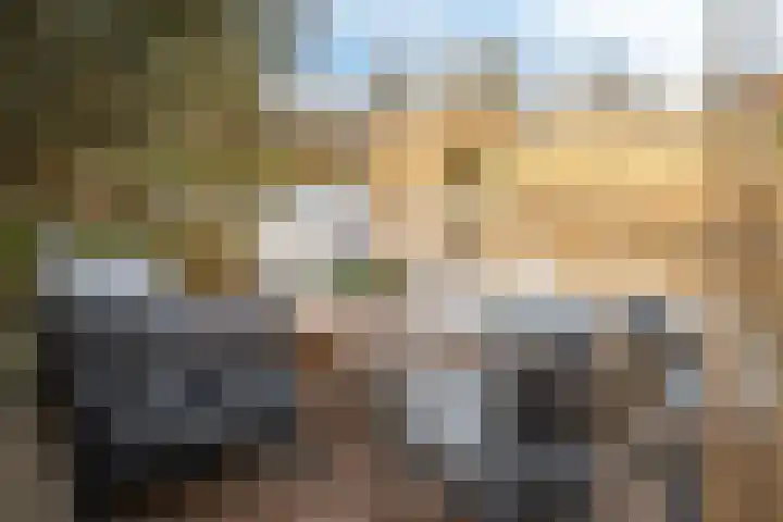 Koaidyk 6 408 Earnewâld thumbnail 28