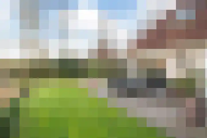 Koaidyk 6 408 Earnewâld thumbnail 31