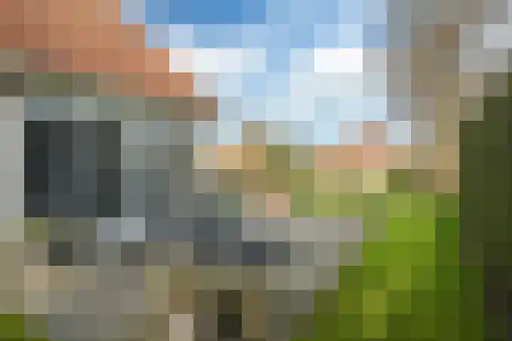 Koaidyk 6 408 Earnewâld thumbnail 32