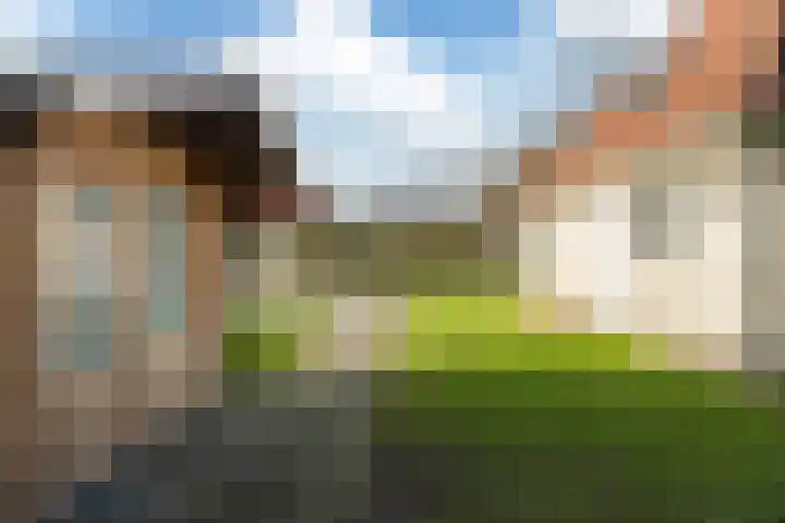 Koaidyk 6 408 Earnewâld thumbnail 33