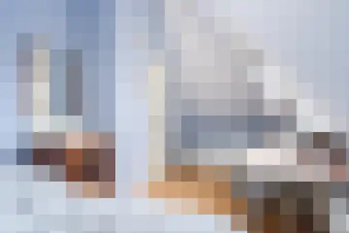 Koaidyk 6 419 Earnewâld thumbnail 17