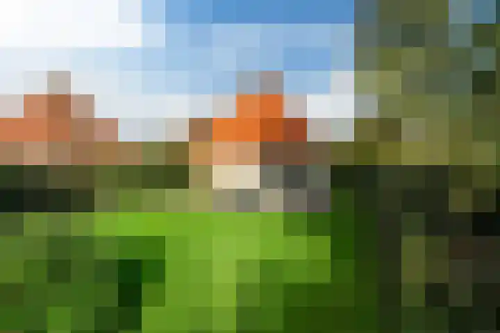 Koaidyk 6 419 Earnewâld thumbnail 21