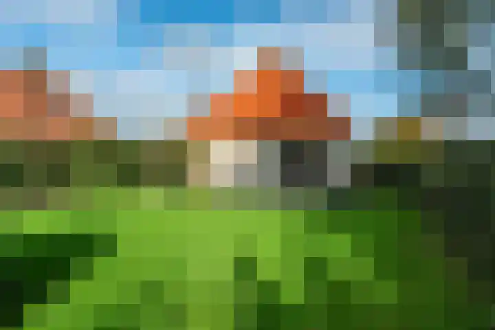 Koaidyk 6 419 Earnewâld thumbnail 22