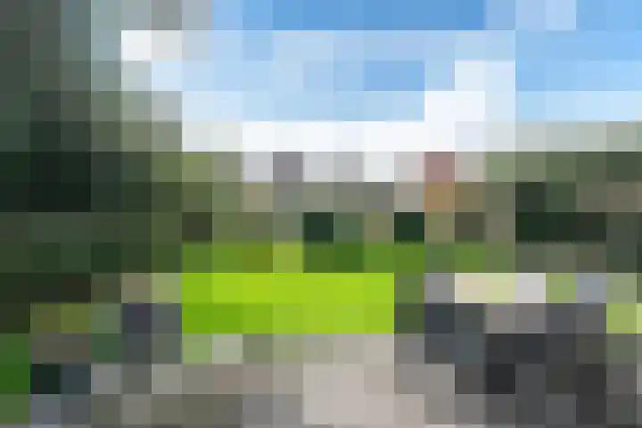 Koaidyk 6 419 Earnewâld thumbnail 23