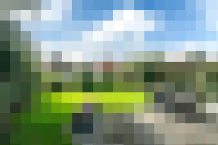 Koaidyk 6 419 Earnewâld thumbnail 24
