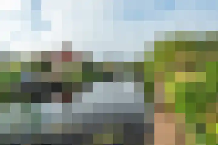 Koaidyk 6 419 Earnewâld thumbnail 26