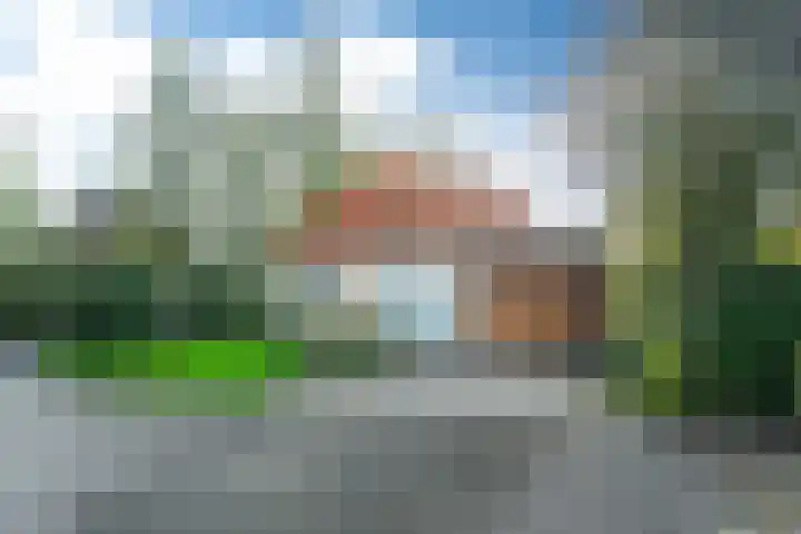 Koaidyk 6 419 Earnewâld thumbnail 28