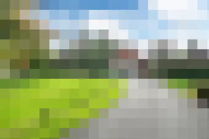 Koaidyk 6 419 Earnewâld thumbnail 29