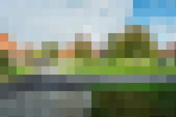 Koaidyk 6 419 Earnewâld thumbnail 30
