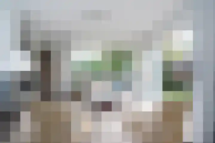 Koaidyk 6 419 Earnewâld thumbnail 4