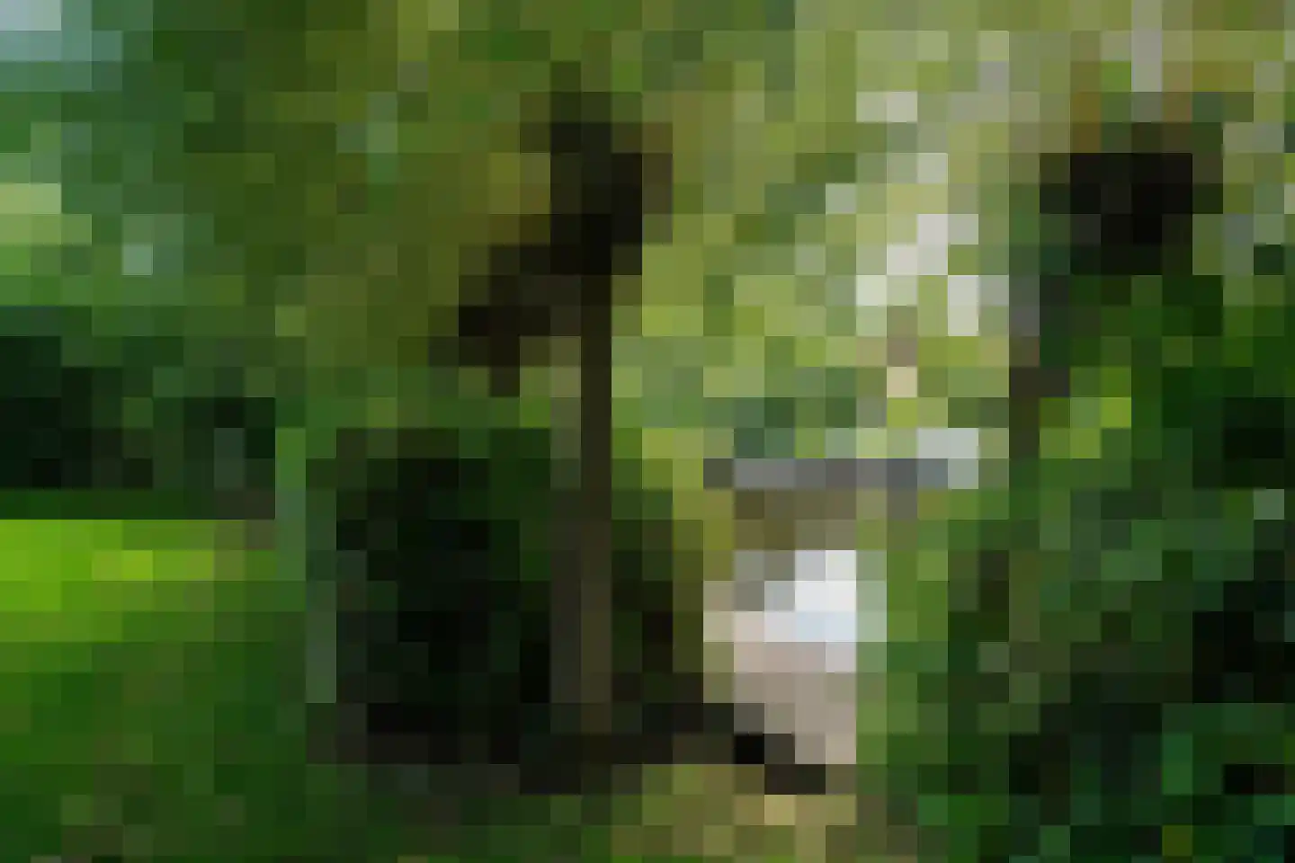 Koaidyk 6 420 Earnewâld thumbnail 27