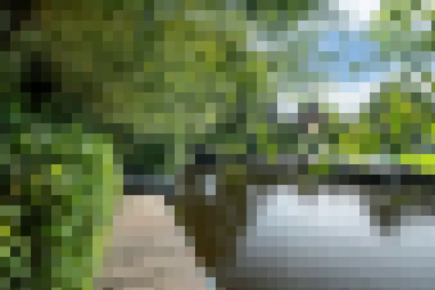 Koaidyk 6 420 Earnewâld thumbnail 29