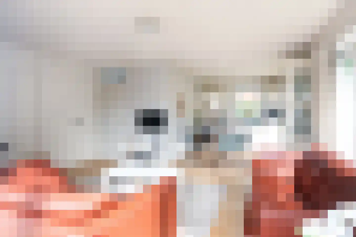 Koaidyk 6 420 Earnewâld thumbnail 9