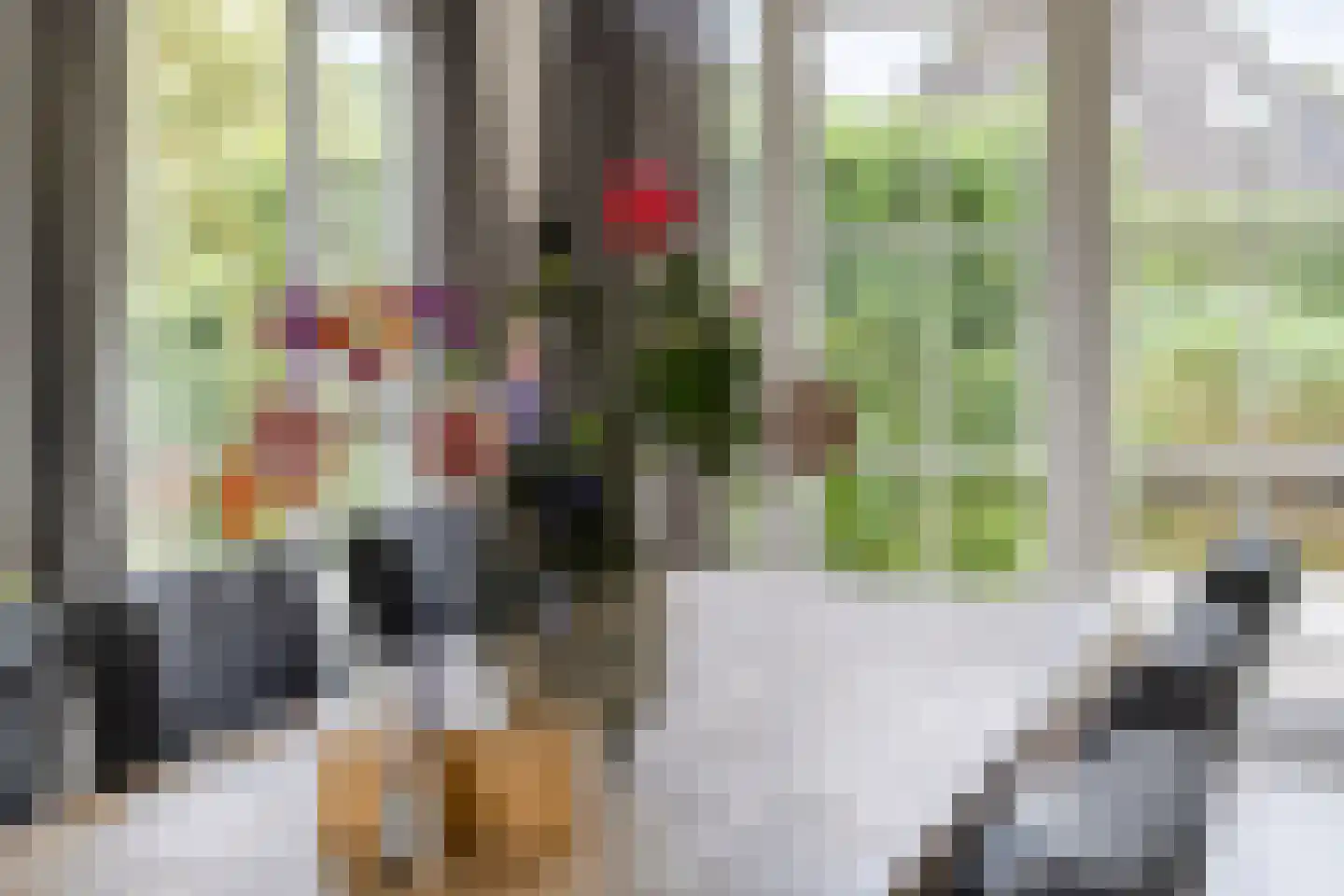Koaidyk 6 442 Earnewâld thumbnail 10