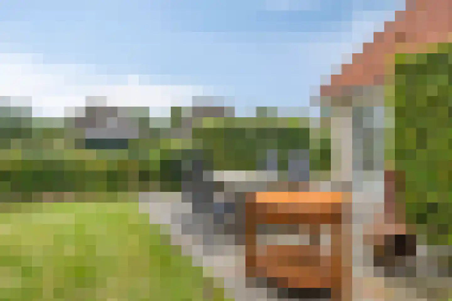 Koaidyk 6 442 Earnewâld thumbnail 28