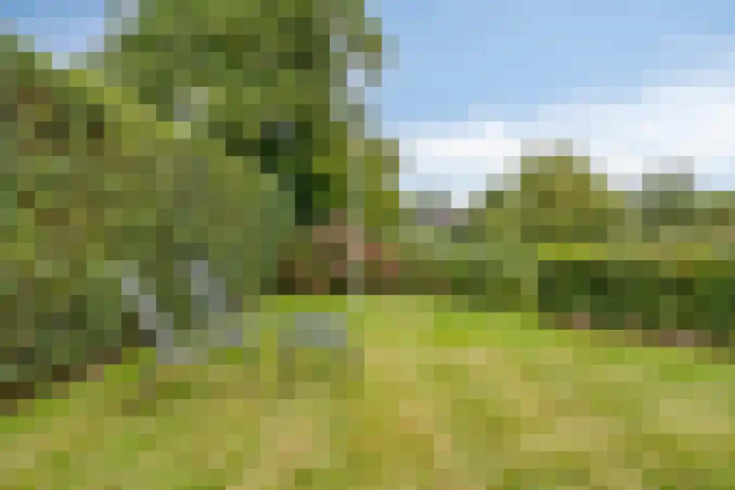 Koaidyk 6 442 Earnewâld thumbnail 29