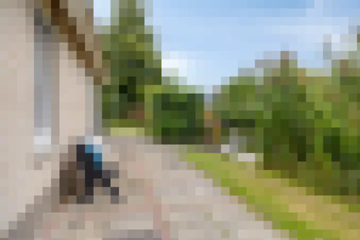 Koaidyk 6 442 Earnewâld thumbnail 31