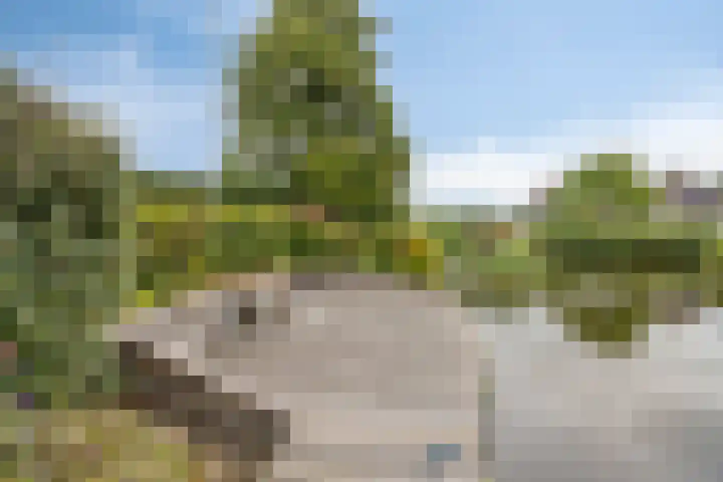 Koaidyk 6 442 Earnewâld thumbnail 34