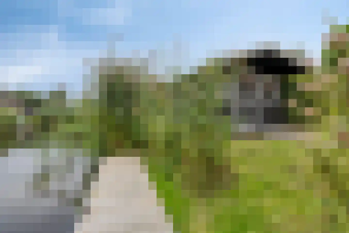 Koaidyk 6 442 Earnewâld thumbnail 36